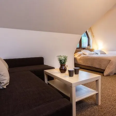 Litworowka Iii Wellness&spa Poronin