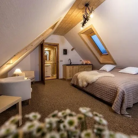 Litworowka Iii Wellness&spa Penzion Poronin